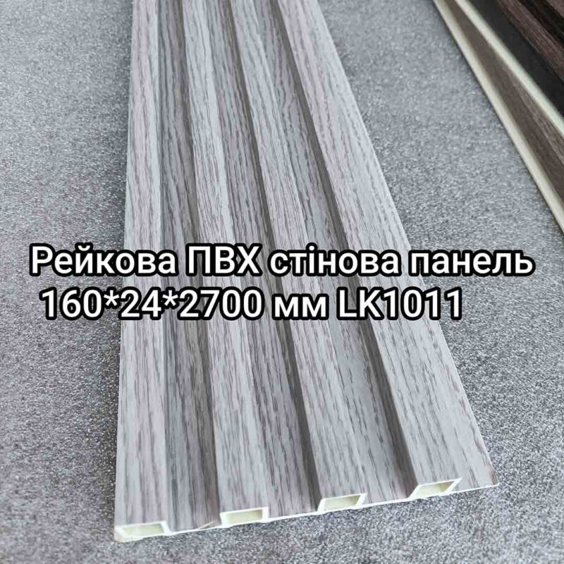 Img 20240716 112740