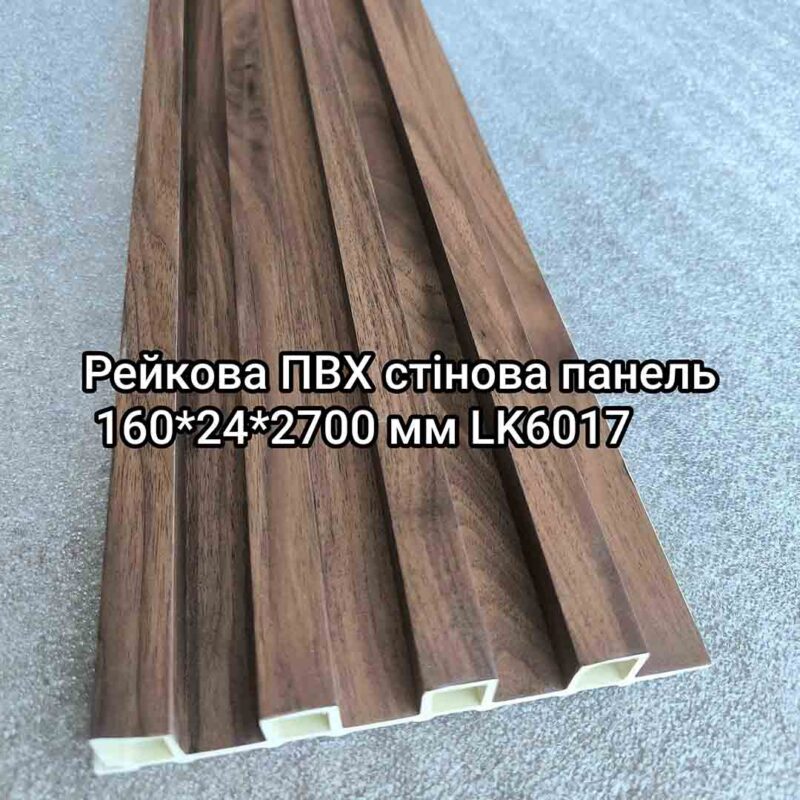 Img 20240716 113259