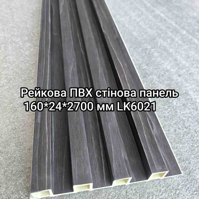 Img 20240716 113521
