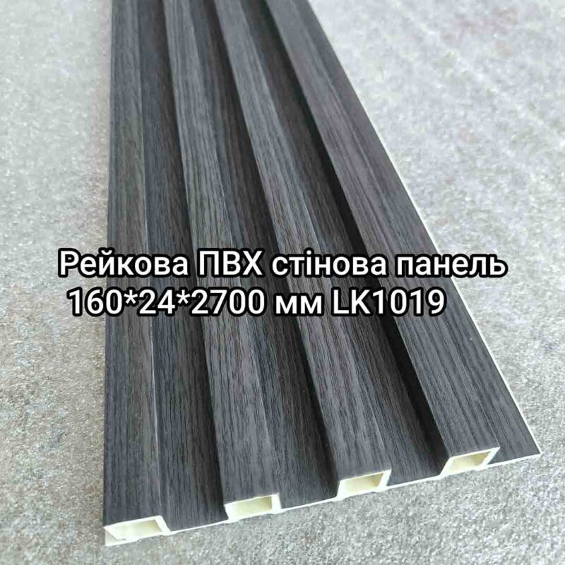 Img 20240716 114656