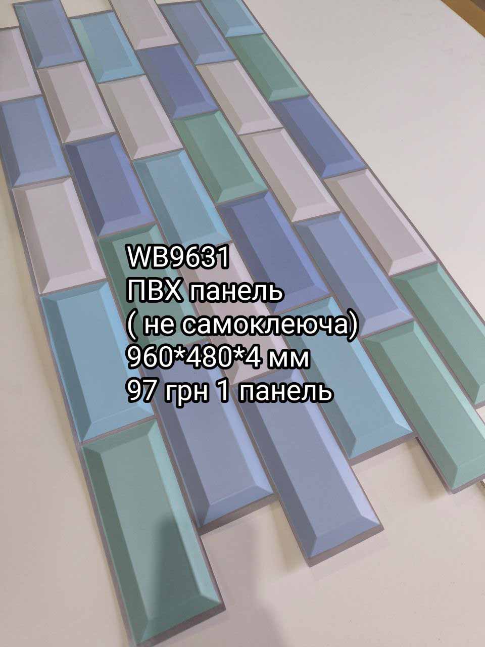 Photo 6 2024 08 25 15 02 59
